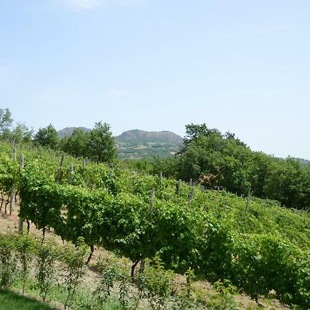 Agriturismo Ca' Del Sartu Бобио Екстериор снимка